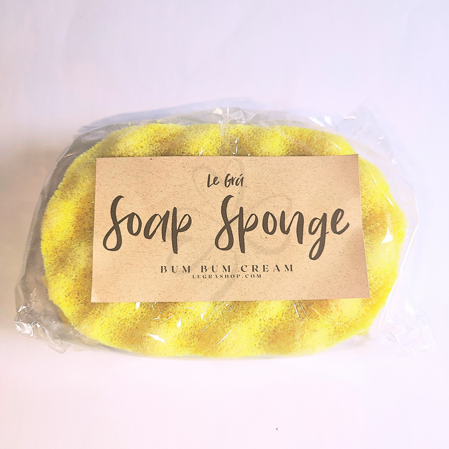 Soap Sponge