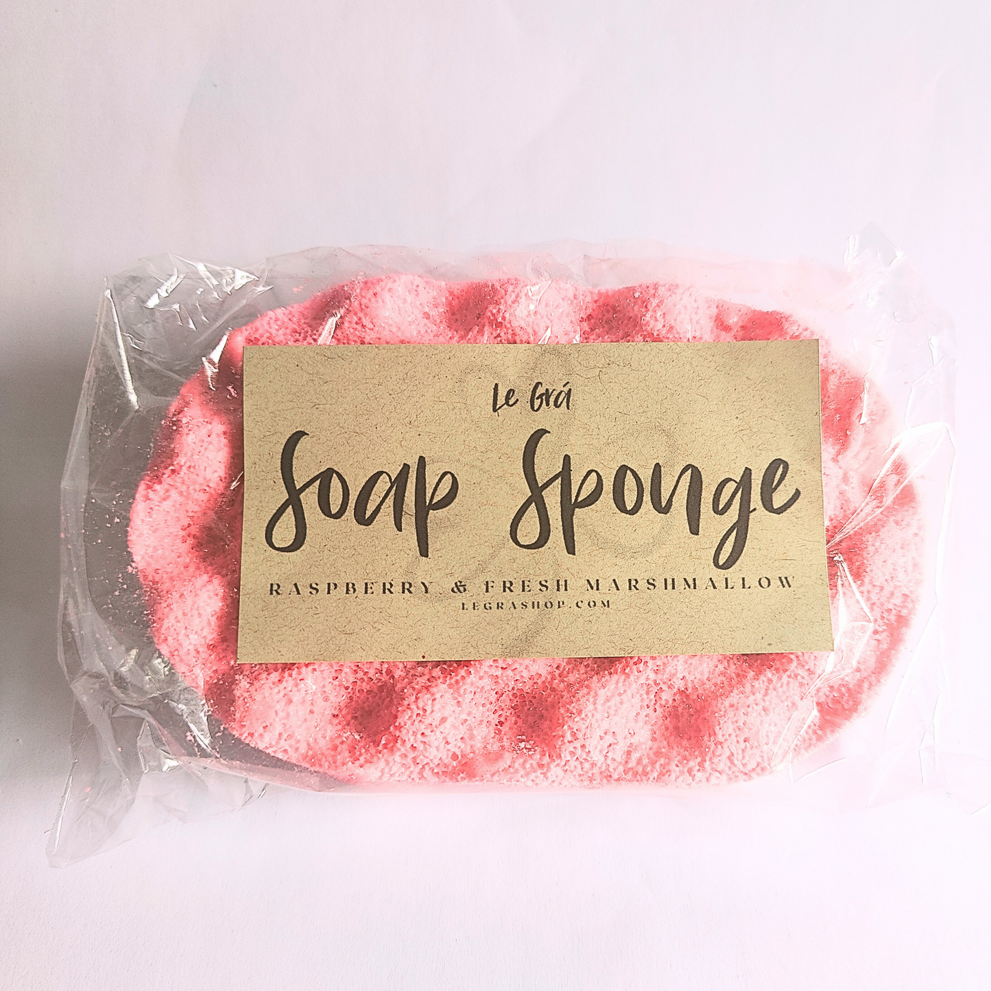 Soap Sponge